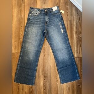 Aeropostale Dark Blue Flare Jeans